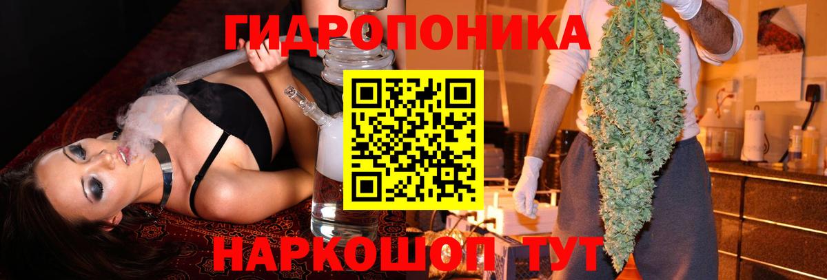 Каннабис индика  Канабис THC 21%  Канабис планчик  Бошки марихуана марихуана  Вход с VPN  Уссурийск 